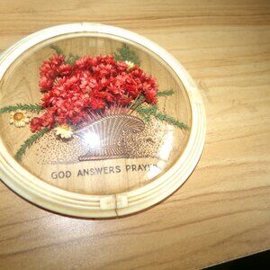 antique  celluloid domed top. picture. with straw flowers.